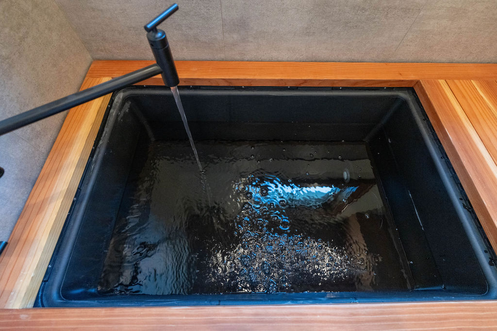 Cold Plunge sink